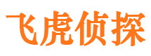 松山飞虎私家侦探公司